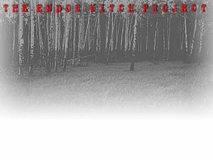 The Endor Witch Project